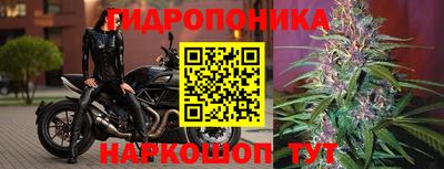 дживик Тула