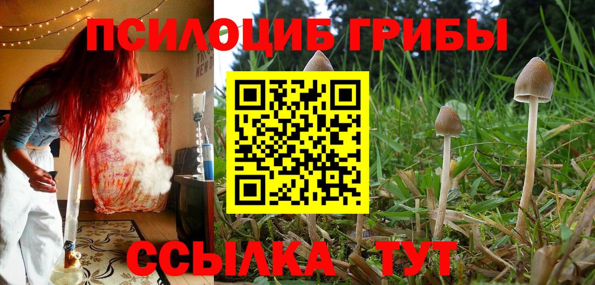 Галлюциногенные грибы Psilocybe  Вход с VPN  Нурлат 