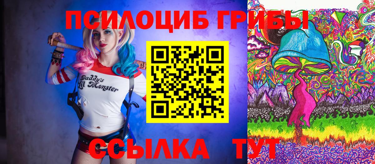 Псилоцибиновые грибы Psilocybine cubensis Нурлат